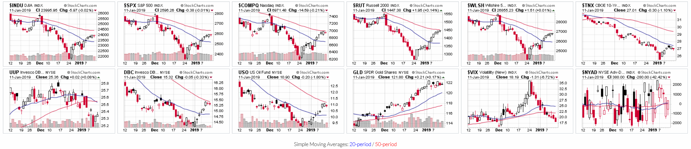 Der USA Bären-Thread 1091197