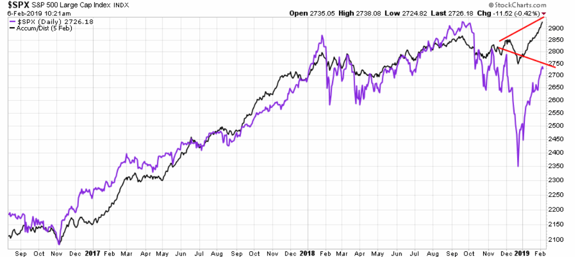 Der USA Bären-Thread 1095331