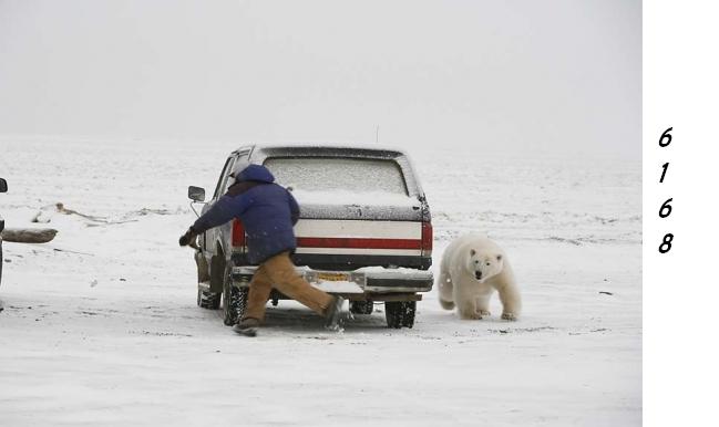 1.273.DAX Tipp-Spiel, Montag, 19.04.10 314075