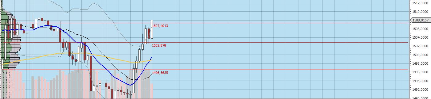 Gaertnerin's Boersen-Huesli 1138131