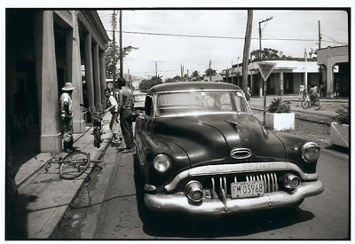 Der USA Bären-Thread 217678