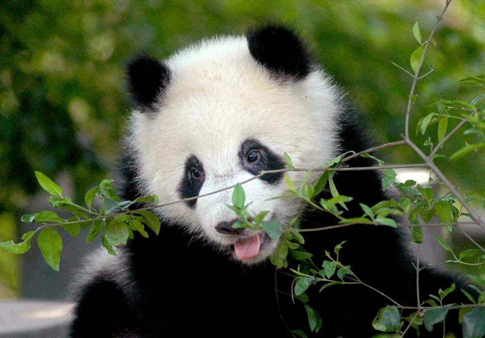 421.DAX Tipp-Spiel, Freitag, 01.12.06 69762