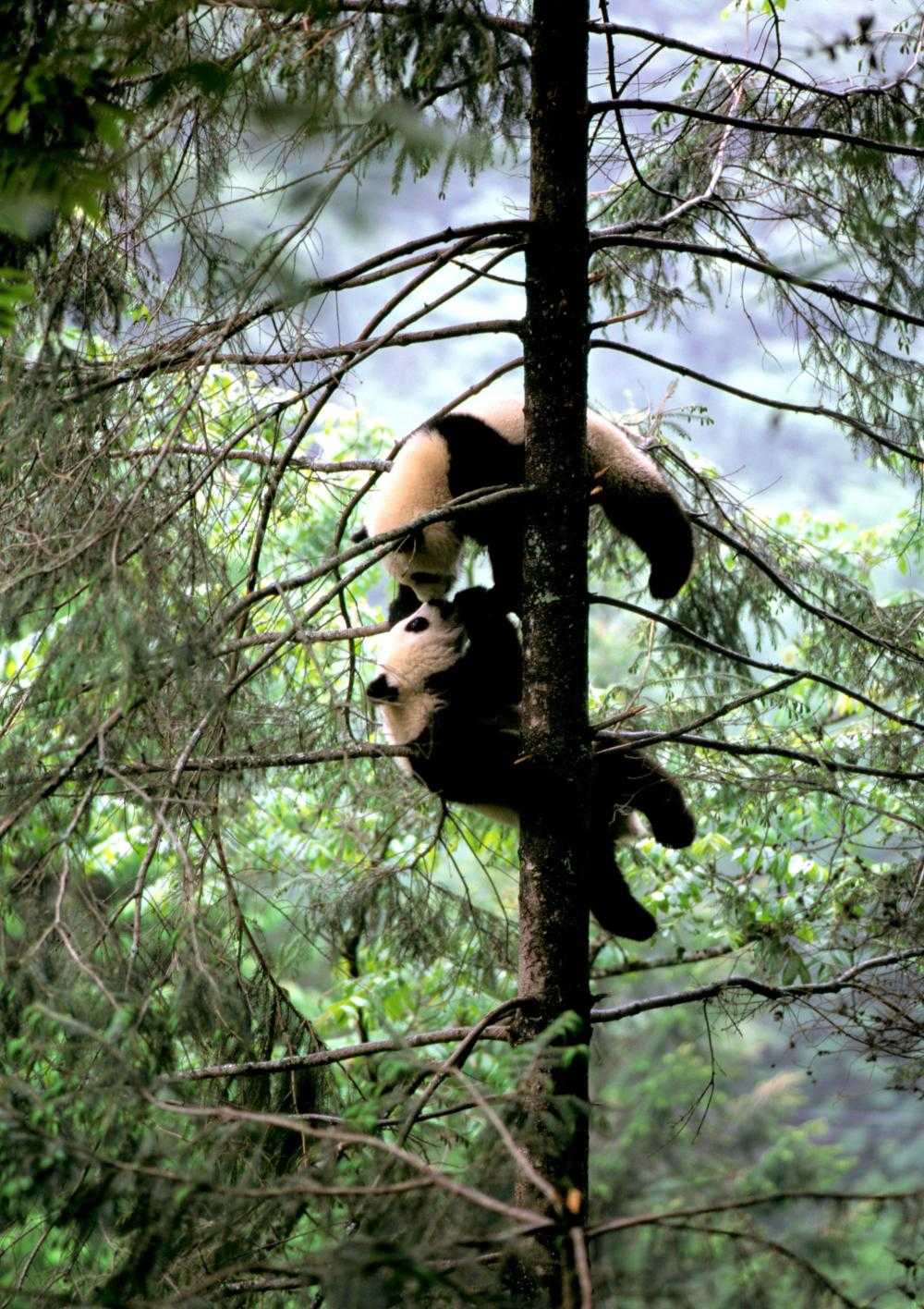 426.DAX Tipp-Spiel, Freitag, 08.12.06 70534