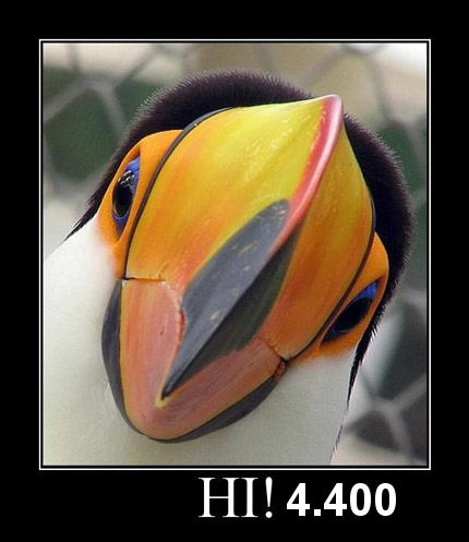 956.DAX Tipp-Spiel, Freitag,16.01.09, 17.45 Uhr 210711