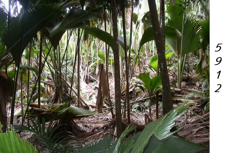 1.211.DAX Tipp-Spiel, Dienstag, 19.01.10 292705