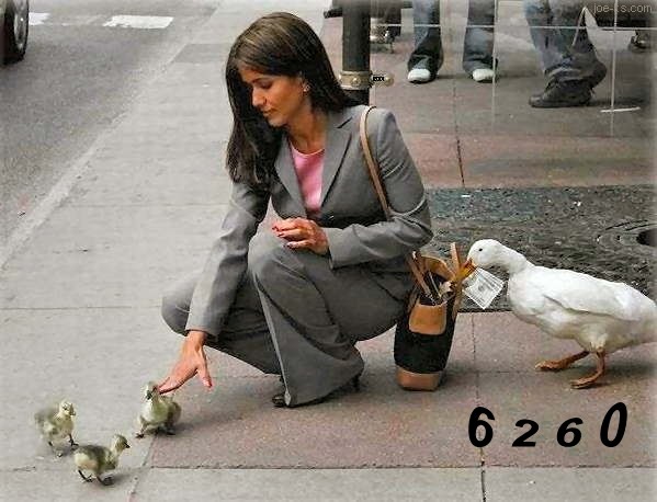 417.DAX Tipp-Spiel, Montag, 27.11.06 68838