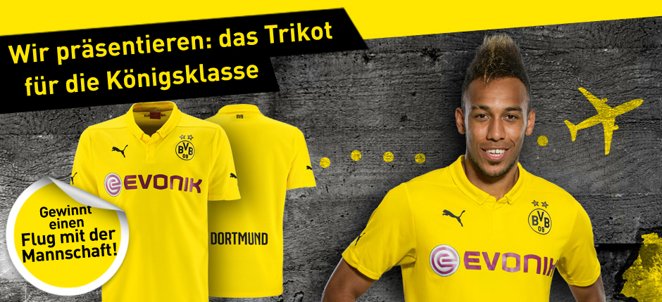 14 Gründe für ein Investment in BVB. 752171