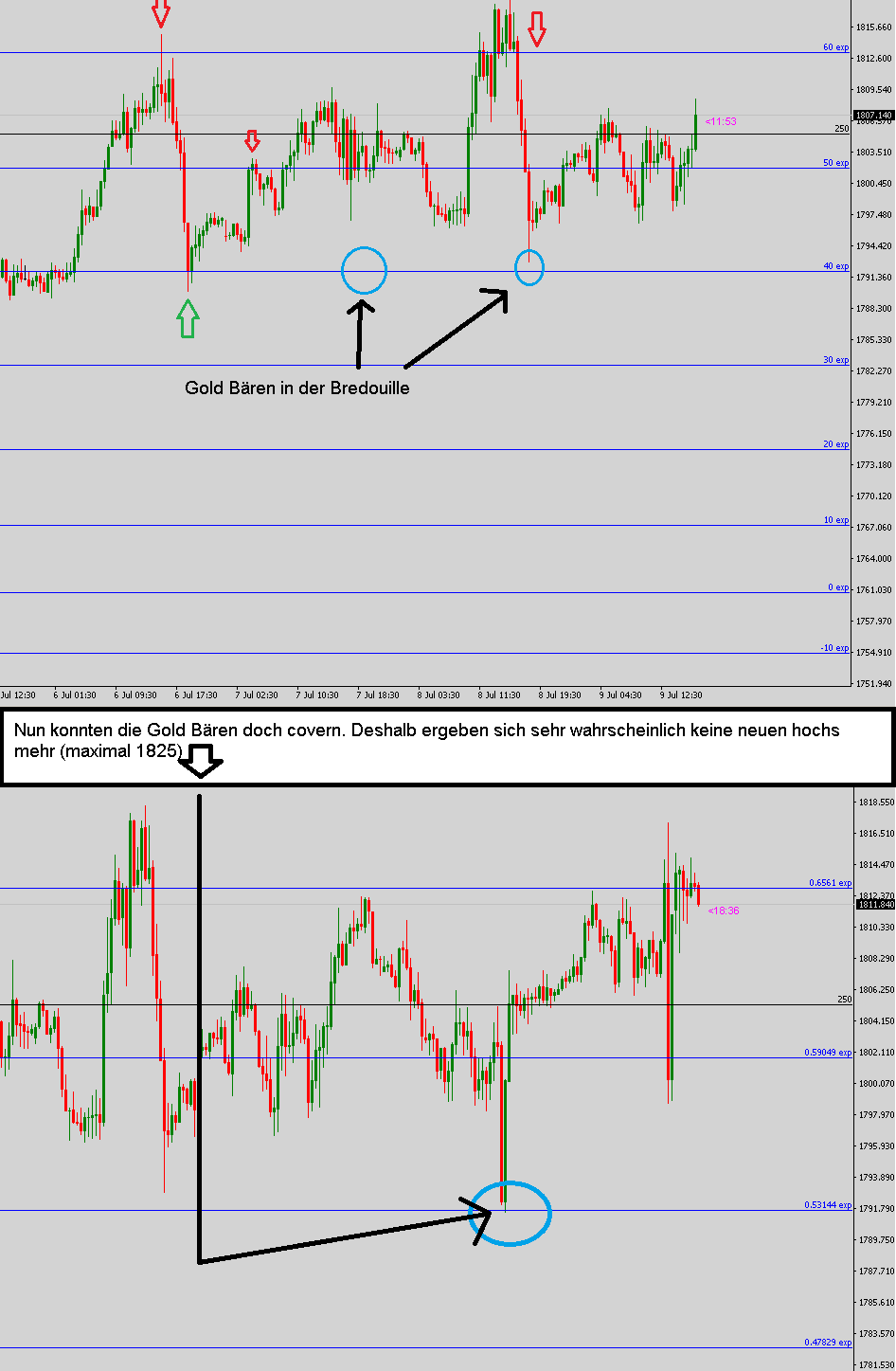 Wenn das Gold redet, dann schweigt die Welt! 1263521