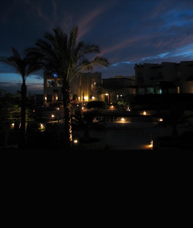 787.DAX Tipp-Spiel, Montag, 19.05.08, 17:45 Uhr 163927