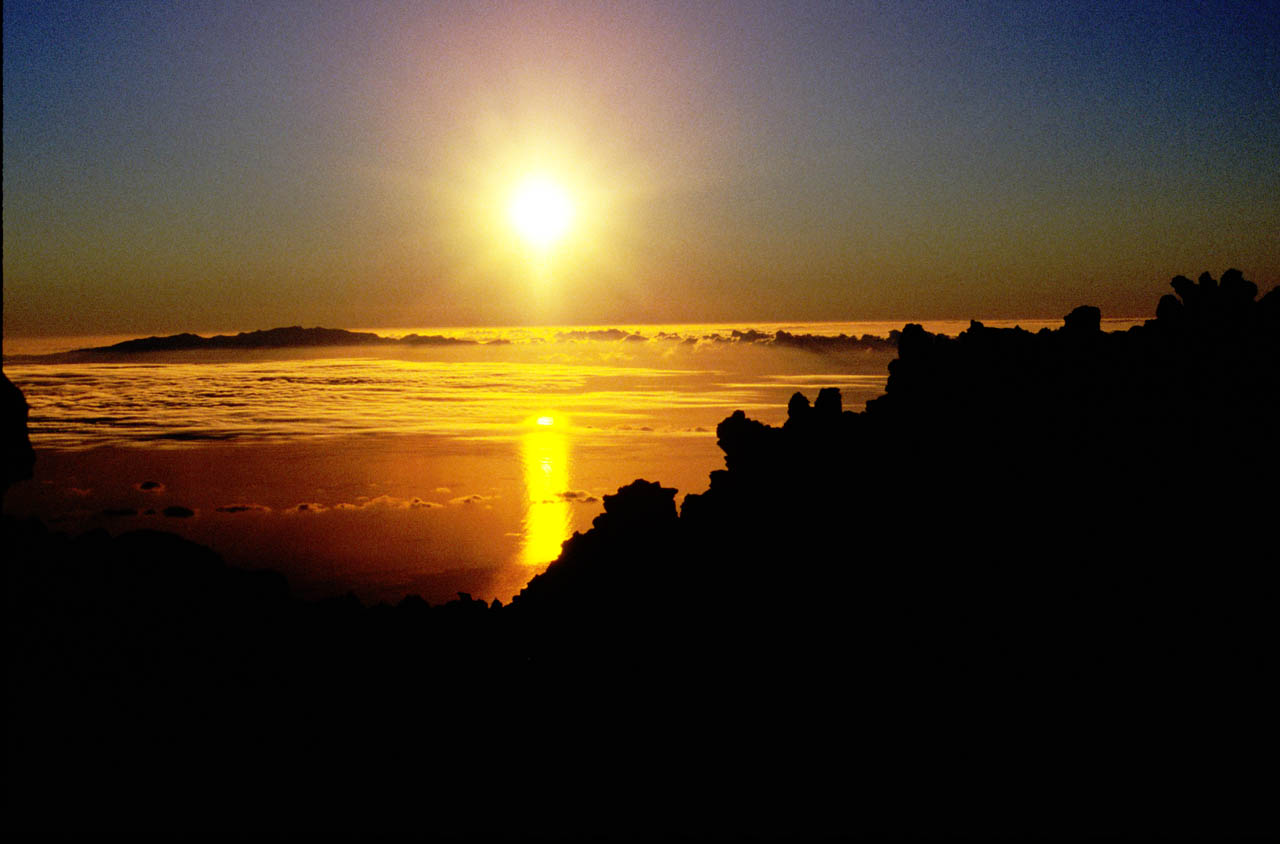 925.DAX Tipp-Spiel *Do* 27.11.08, 17.45 Uhr 201965