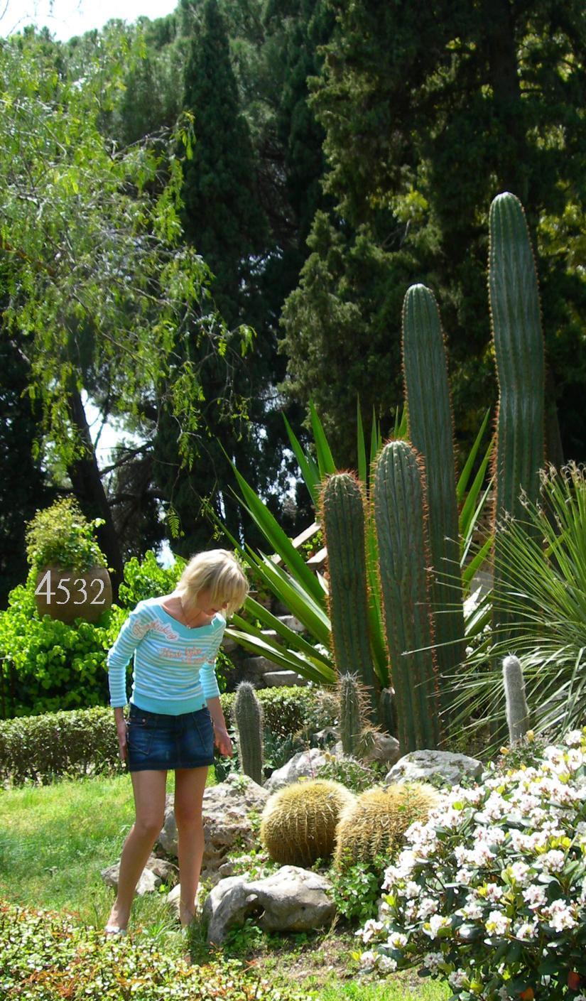 1018.DAX-Tipp-Spiel, Donnerstag 16.04.09 227295