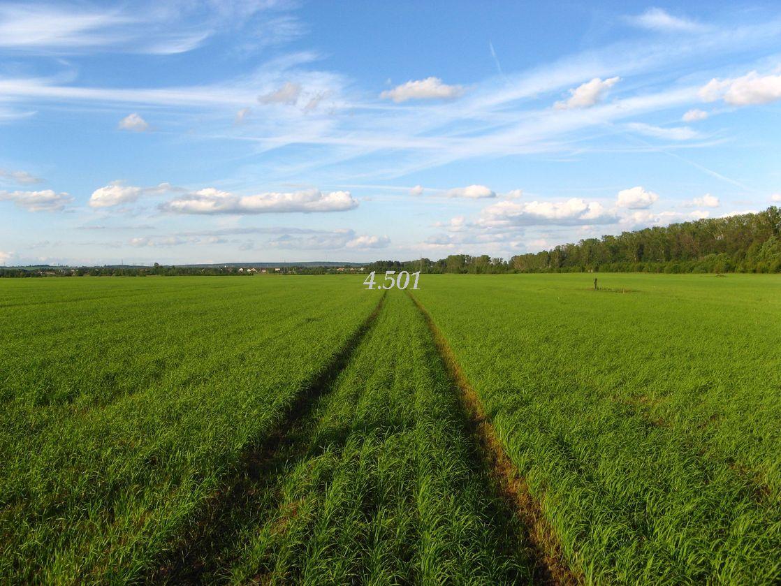 1027.DAX-Tipp-Spiel, Mittwoch 29.04.09 229762