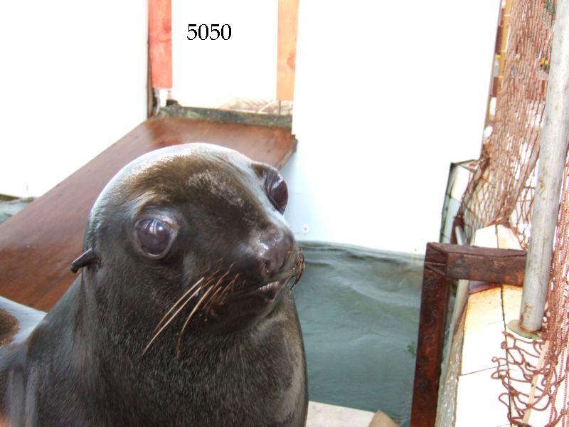 1061.DAX-Tipp-Spiel, Mittwoch 17.06.2009 239006