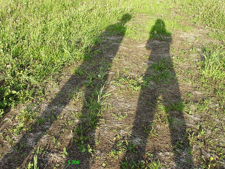 Die Links zu den Sternenkinder (DAX Spiel) 260224