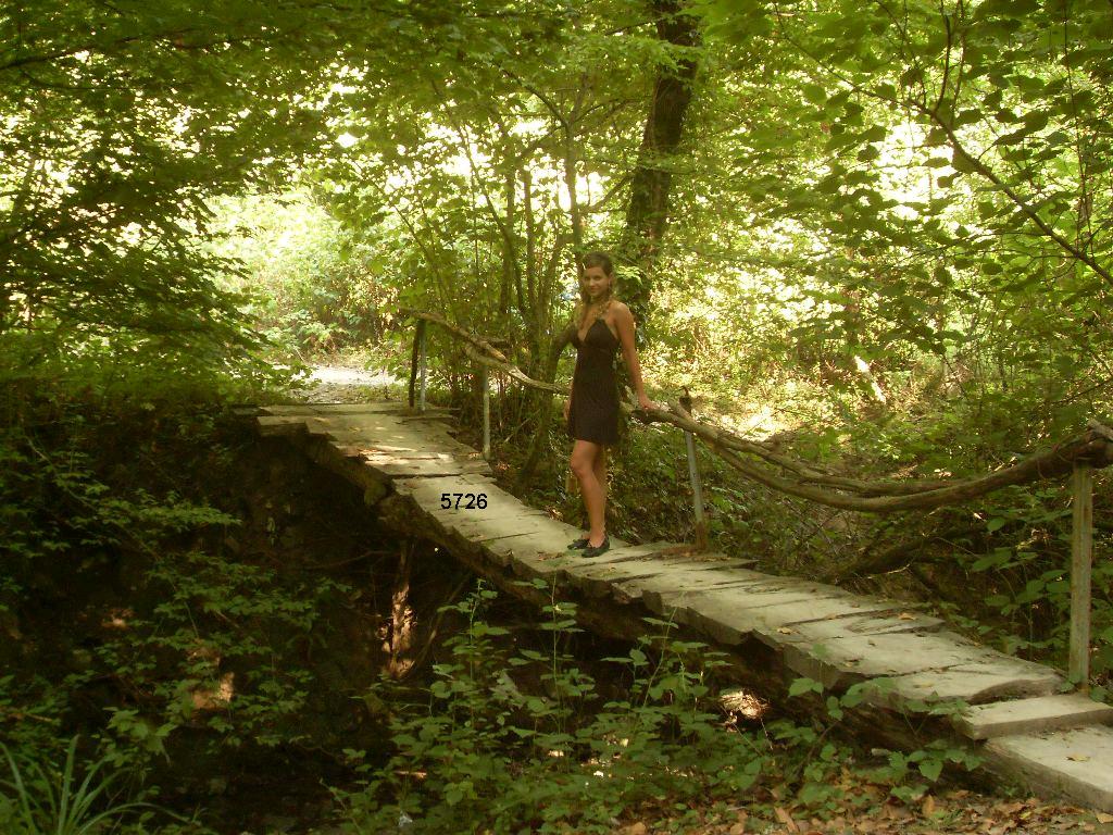 1.138.DAX Tipp-Spiel, Freitag, 02.10.09 263651