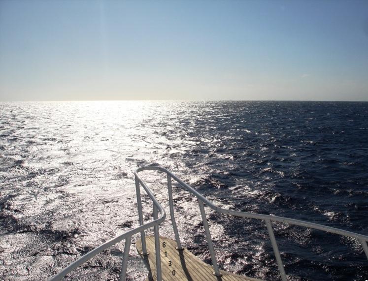 Die Links zu den Sternenkinder (DAX Spiel) 334977