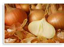 Tonkens Agrar Aktie 340097