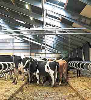 Tonkens Agrar Aktie 343758