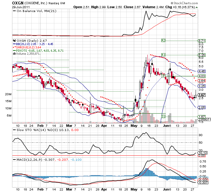 Wesleys Flugschule - US Auslese 416331