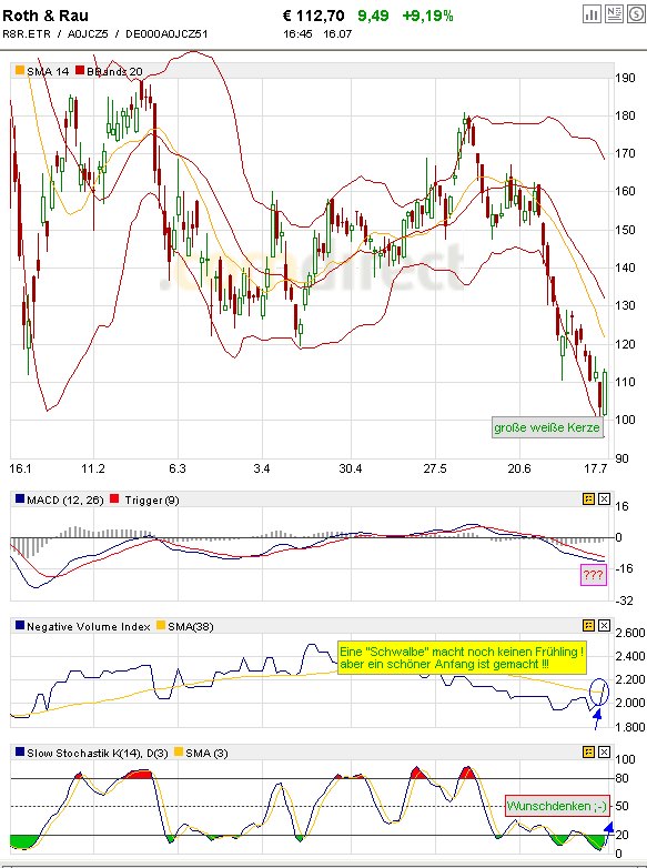 Roth & Rau AG 175216