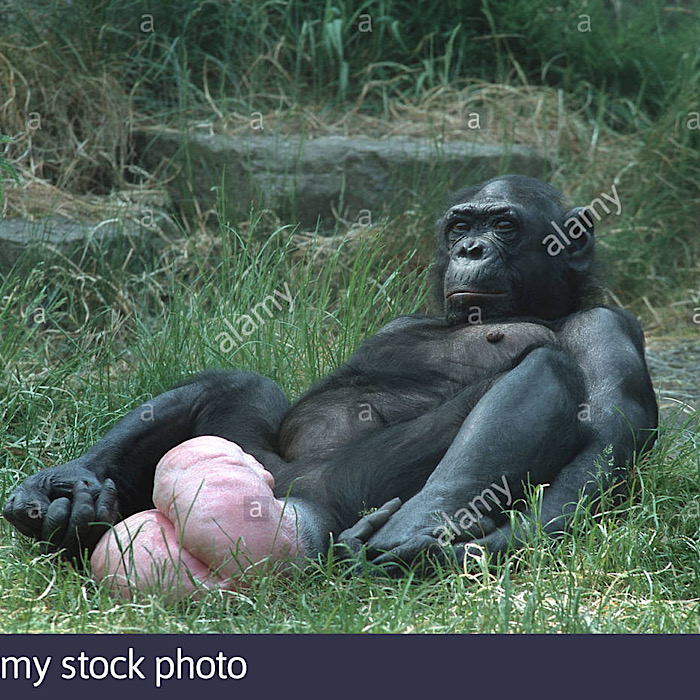 2020 QV-GDAXi-DJ-GOLD-EURUSD-JPY 1179568