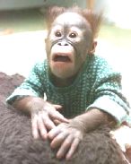 Leute schnell noch positionieren! 142645