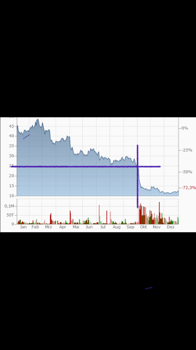 TeamViewer AG - Hype oder echte Kursrakete? 1291920