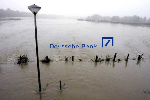 Der USA Bären-Thread 113882