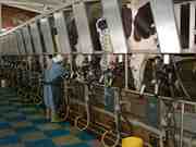 Tonkens Agrar Aktie 369620