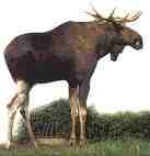 16524Sieben die Dollar liegen drüben(noch) 382128