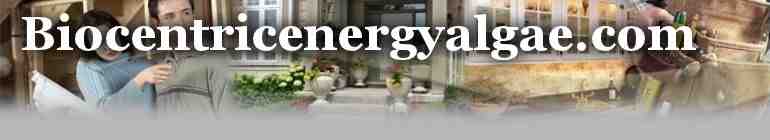 BEHL bei 0,0001USD abfangen 445584