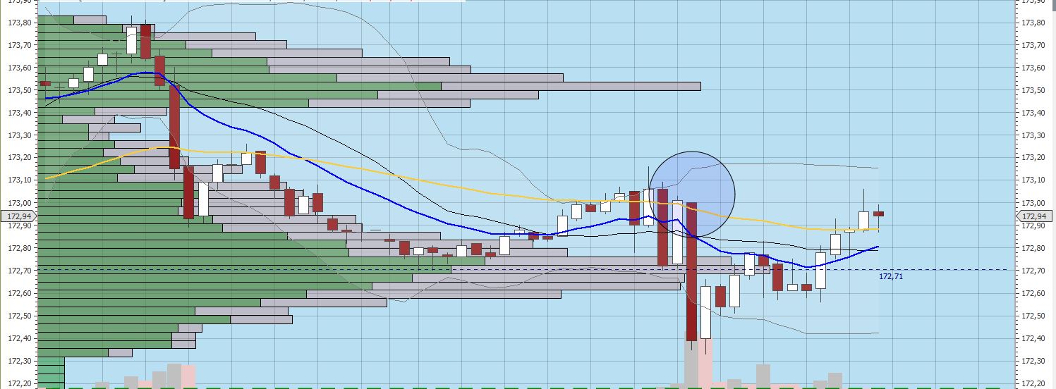 Gaertnerin's Boersen-Huesli 1169836