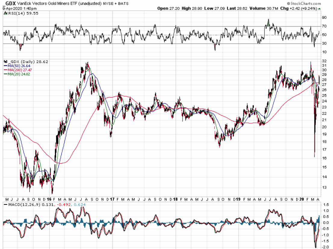 Der USA Bären-Thread 1171767