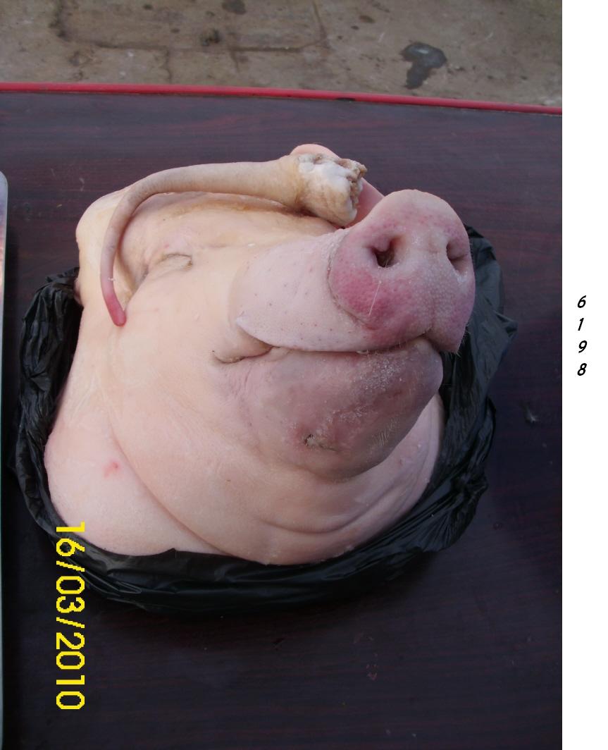 1.274.DAX Tipp-Spiel, Dienstag, 20.04.10 314312