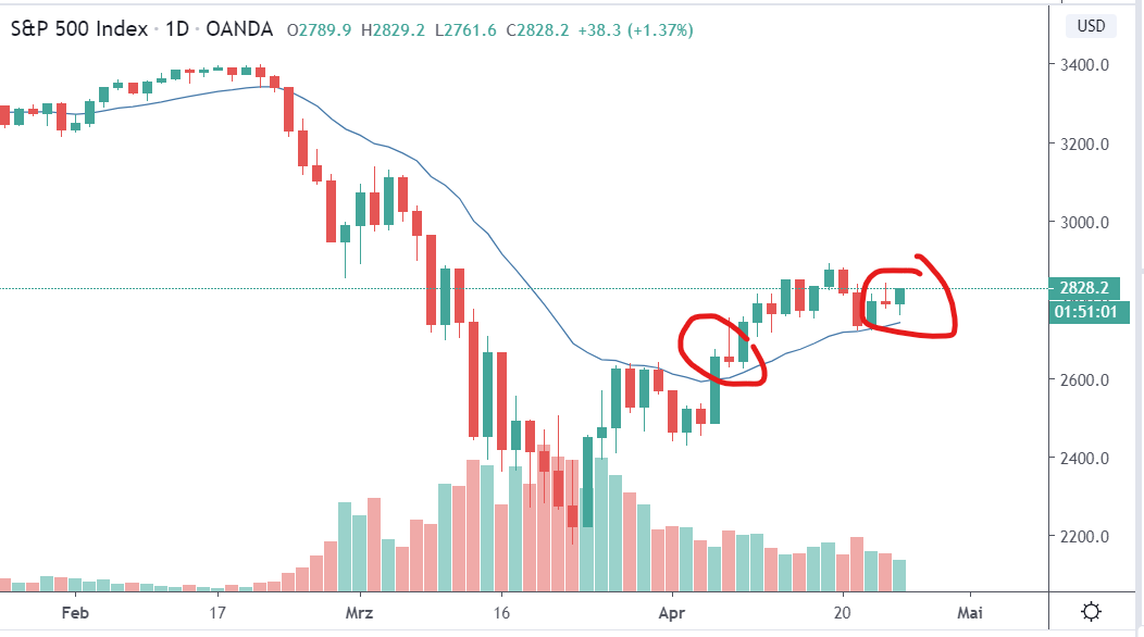 Der USA Bären-Thread 1174479