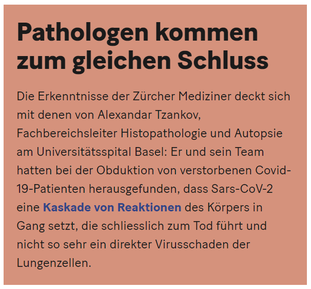 Der USA Bären-Thread 1174928