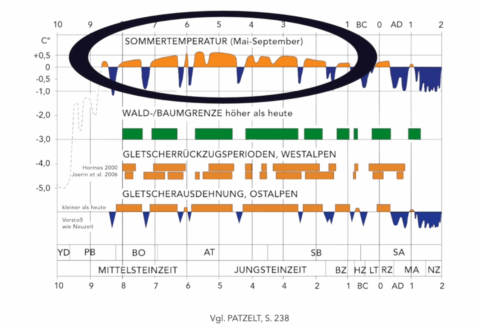Der USA Bären-Thread 1180249
