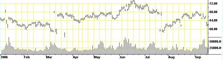 Mein neuer Favorit ist Schwein 251315