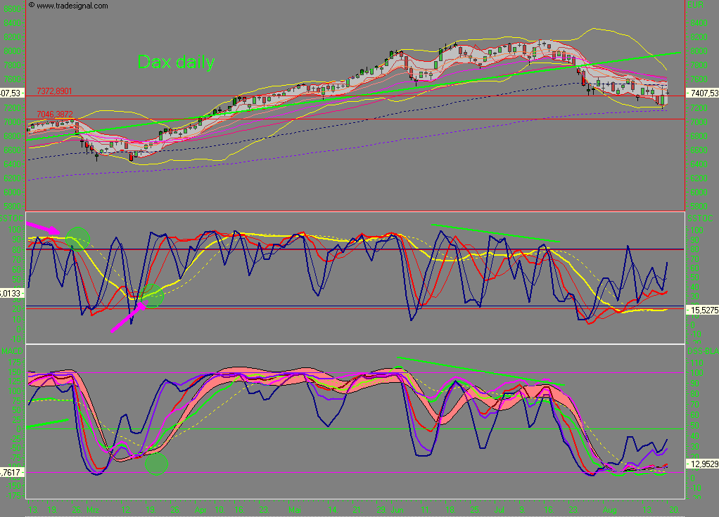 Das Bärengebrüll wird schon wieder lauter, 115707