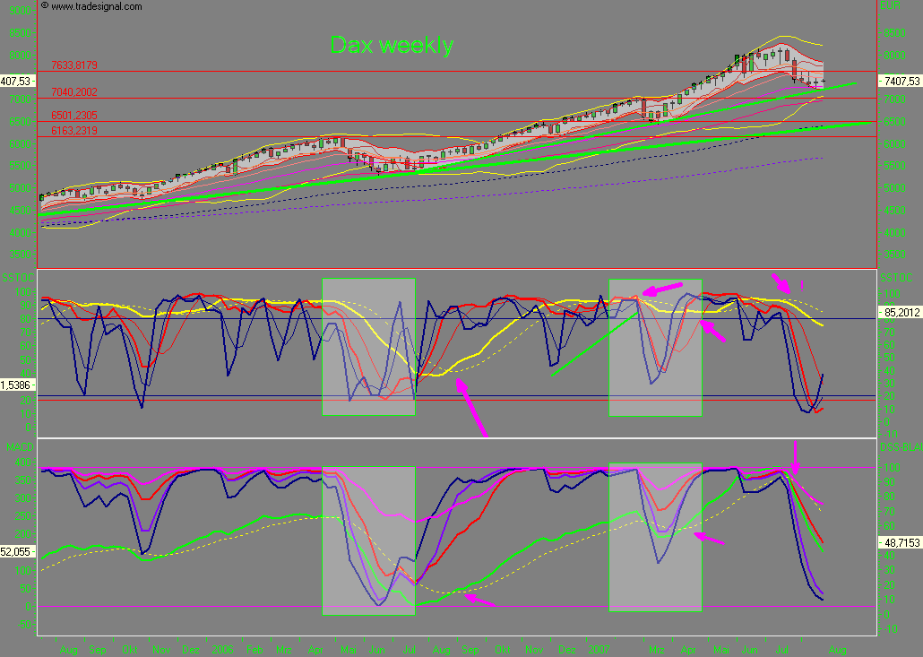Das Bärengebrüll wird schon wieder lauter, 115709