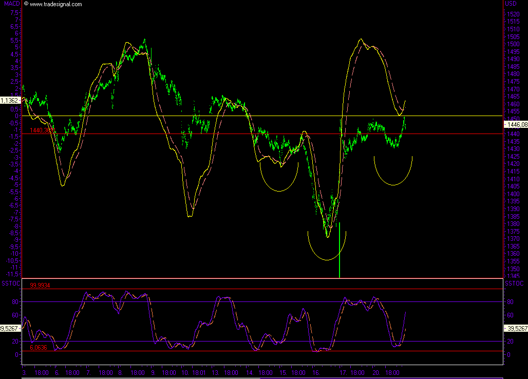 Das Bärengebrüll wird schon wieder lauter, 115719