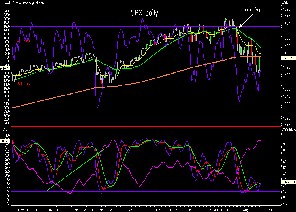 Das Bärengebrüll wird schon wieder lauter, 115743