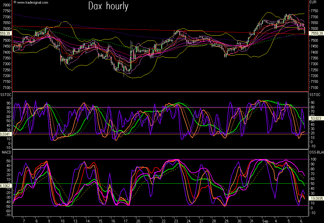 Das Bärengebrüll wird schon wieder lauter, 118782