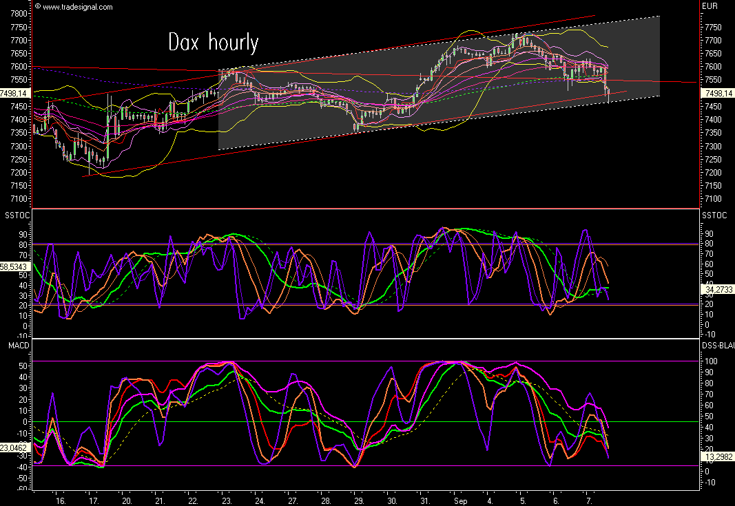 Das Bärengebrüll wird schon wieder lauter, 119059