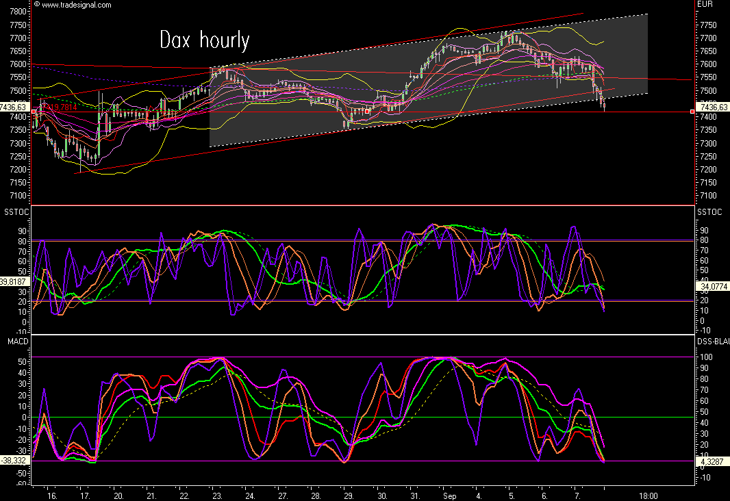 Das Bärengebrüll wird schon wieder lauter, 119069