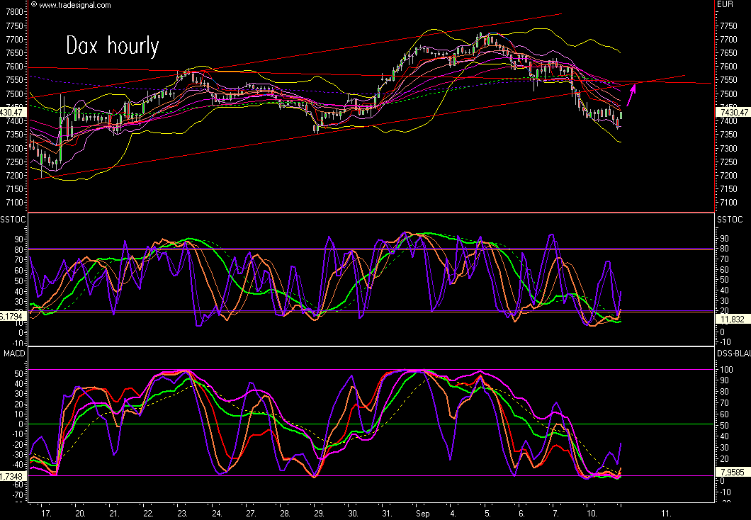 Das Bärengebrüll wird schon wieder lauter, 119494