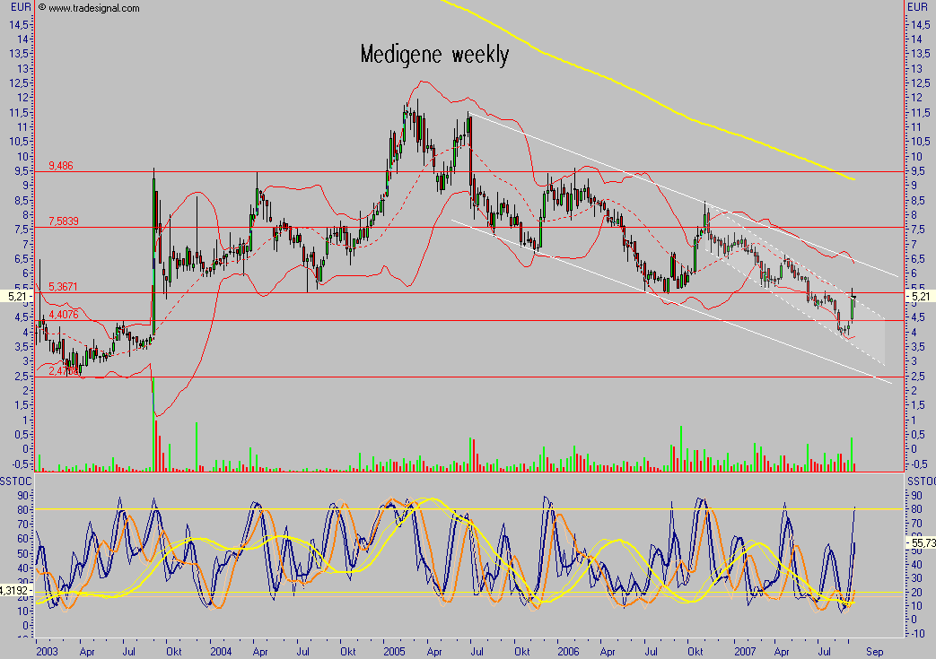 Medigene - der Boden scheint gefünden 119682