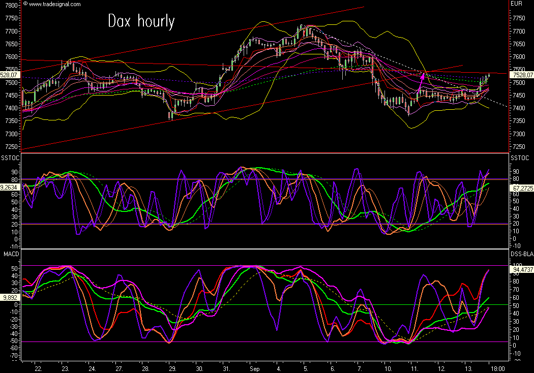 Das Bärengebrüll wird schon wieder lauter, 120047