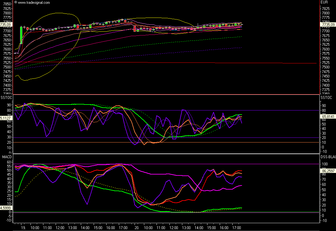 Das Bärengebrüll wird schon wieder lauter, 121147