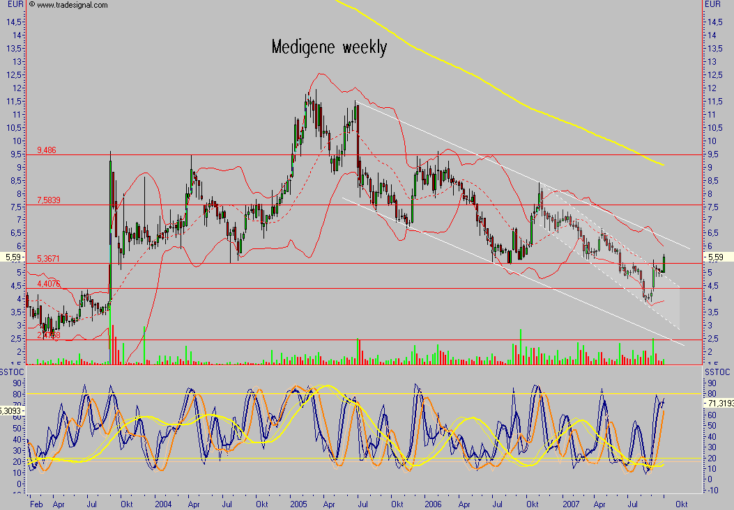 Medigene - der Boden scheint gefünden 123338